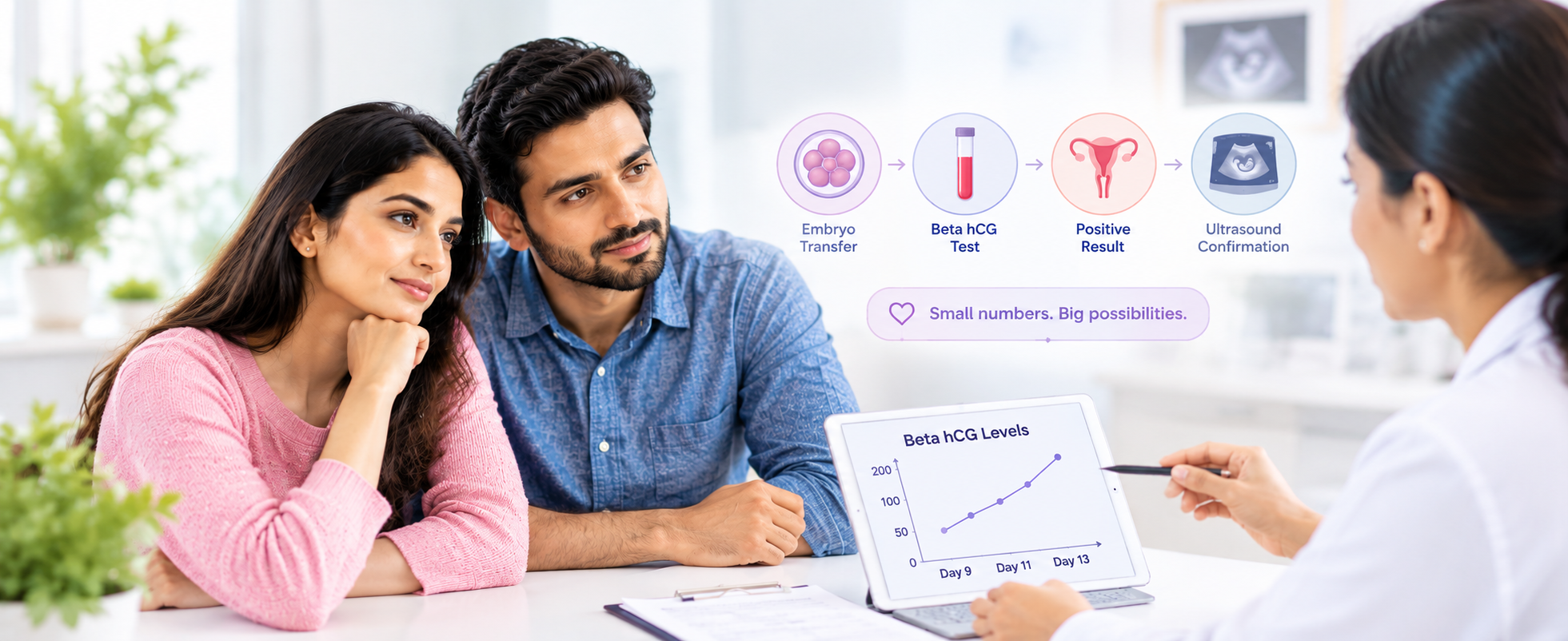 Beta hCG After Embryo Transfer: Normal Values, Timing, and What the Numbers Mean