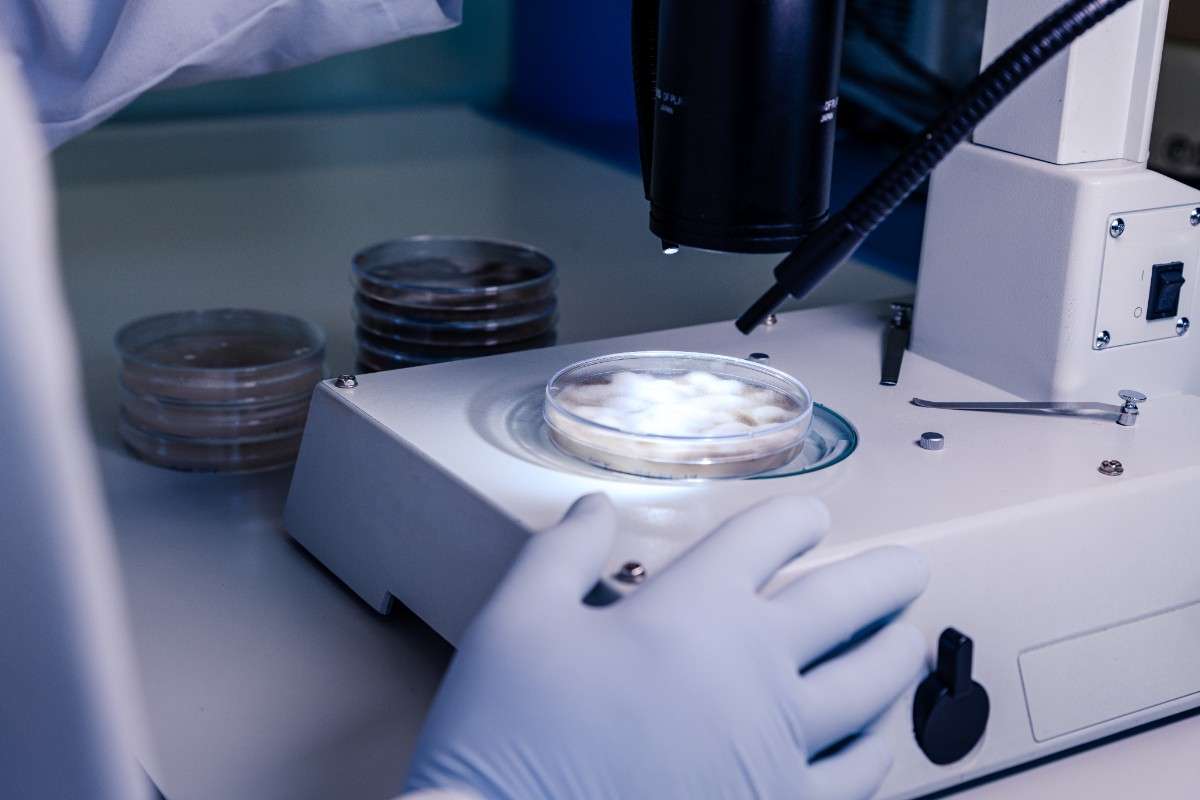 AI in Embryo Selection: A Smarter Path to Parenthood