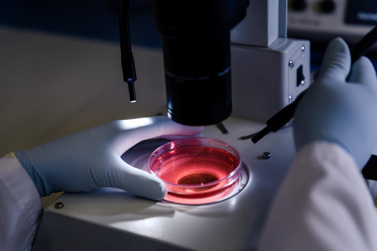 How Artificial Intelligence is Transforming Embryo Selection in IVF