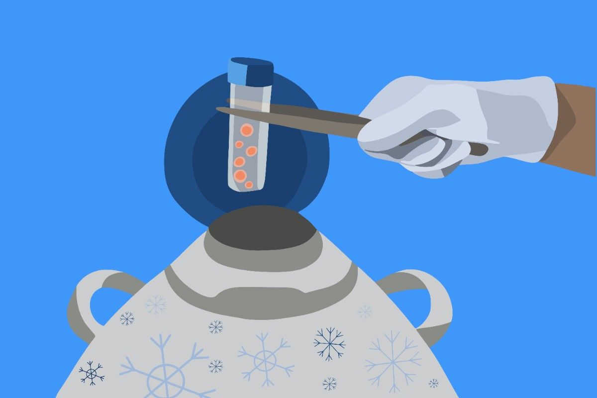 Understanding the Egg Freezing Process: Benefits and Considerations